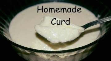 How To Make Curd At Home with Tips | Easy Way To make homemade Curd